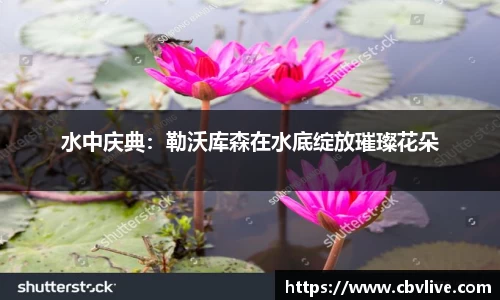  6688体育手机版登录