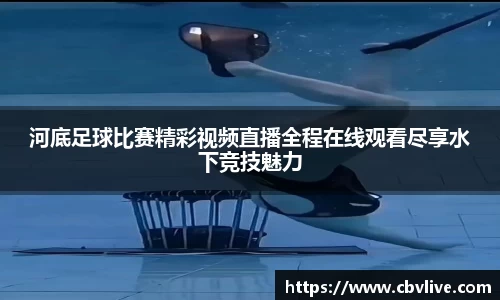 6688体育网页版